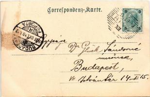 1900 Riva del Garda (Südtirol), general view, port, ships (fl)