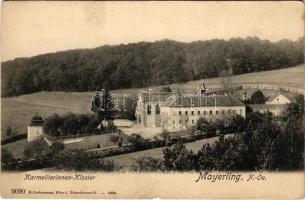 Mayerling, Karmeliterinnen Kloster. K. Ledermann 9090. / Carmelite monastery (b)