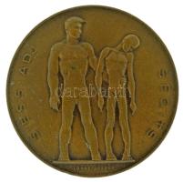 Loósz József (1908-1985.) 1947. "SAS - Hadifoglyokért, kórházakért, tüdőbetegekért / Siess-Adj-Segíts" bronz emlékérem (40mm) T:AU