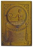 1933. "Kispesti Kereskedők Egyesülete 1933. XI. 11-18." egyoldalas bronz plakett "Berényi Törv. Véd." jelzéssel (80x55mm) T:XF