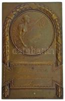 1938. "Hotis 1938 Összetett lőverseny II." egyoldalas bronz emlékplakett "Arkanzas Budapest" gyártói jelzéssel. (85x55mm) T:AU patina