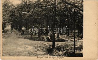 Siófok, Fenyves erdő sétánnyal - képeslapfüzetből (EK)