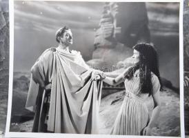 ca 1980-1990 13 db mozifotó, filmfotó, feliratozva, 24x30 cm-ig