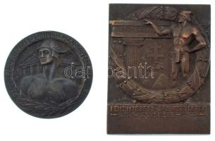 1912. "Pénzintézeti Sportegyletek Szövetsége" kétoldalas bronz emlékérem (37mm) + Bakonyi Sándor (1892-1937) ~1930. "Pénzintézeti Sportegyletek Szövetsége 1912-1927" bronz egyoldalas emlékplakett (55x43mm) T:XF patina, egyiken kis ph.