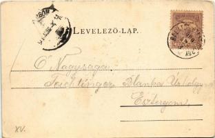 1900 Szigliget, látkép a Balatonnal. Sujánszky József kiadása (felületi sérülés / surface damage)