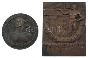 1912. "Pénzintézeti Sportegyletek Szövetsége" kétoldalas bronz emlékérem (37mm) + Bakonyi Sándor (1892-1937) ~1930. "Pénzintézeti Sportegyletek Szövetsége 1912-1927" bronz egyoldalas emlékplakett (55x43mm) T:XF patina