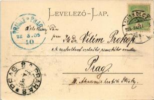 1905 Szatmárnémeti, Szatmár, Satu Mare; Deák tér keleti része, templom, üzletek. Reizer János kiadás...