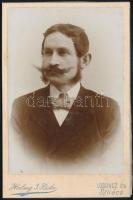 cca 1883 Férfiportré, keményhátú fotó Halmy Béla (Losonc, Szliács) műterméből, hártyapapírral, 16,5×...