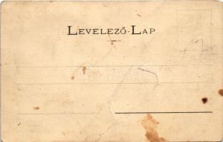 1905 Jászó, Jászóvár, Jasov; parkrészlet / park (fl)