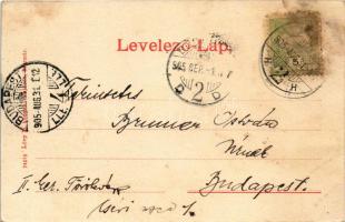 1905 Szatmárnémeti, Szatmár, Satu Mare; Református templom és gimnázium, Singer Co. varrógépek, Freu...