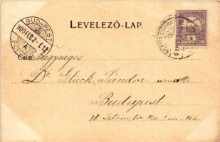 1900 Balassagyarmat, Fő utca, Takarékpénztár. Wertheimer Zisgmond kiadása (fl)