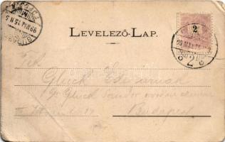 1899 Budapest XII. Svábhegy, fogaskerekű vasút megállóhelye vonattal, vasútállomás (EM)