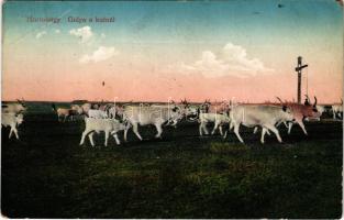 Hortobágy, Gulya a kútnál (EB)