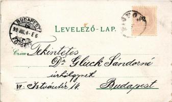 1899 Siófok, Sió és Hullám szálloda, étterem, férfi kerékpáron. Salamon Adolf Art Nouveau, floral, l...