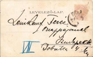 1899 Siófok, Balatonfürdő, Sió részletek. Weiss L. és F. könyvnyomdája kiadása (EB)