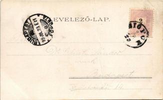 1899 Siófok, Balatonfürdő, Sió-öböl. Weiss L. és F. könyvnyomdája kiadása (fa)