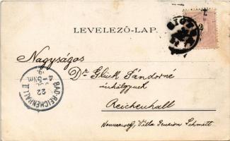 1899 Siófok, Balatonfürdő, Dr. Ney villa, hajóállomás, korzó, kiadja Weiss L. és F. Art Nouveau, flo...