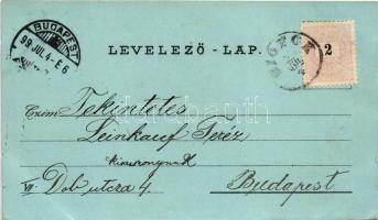 1899 Siófok, Hullám, Központi és Sió szálloda, étterem, Mária és Erzsébet lak, sétány este holdfényb...