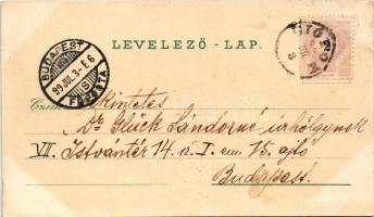 1899 Siófok, Hullám, Központi és Sió szálloda, étterem, Mária és Erzsébet lak, sétány este holdfényb...