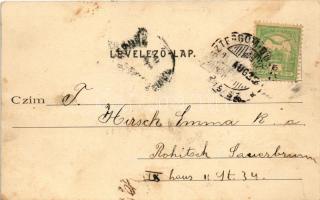 Solymár, utca részlet, patak, látkép, vízesés, Brunner villa (fl)