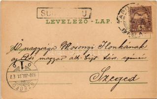 1900 Sümeg, Kisfaludy Sándor szobra, vár. Horvát Gábor kiadása (r)