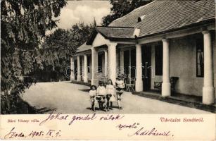 1905 Szada, Báró Vécsey villa, gyerekek kutyával (EB)