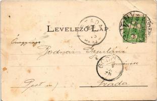 1910 Szada, kilátás a Várdombról. Fénynyomat Divald műintézetéből. Art Nouveau, floral (b)