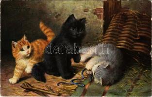 Cats playing. T.S.N. Serie 811. (EK)