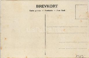 Bergenske Dampskibsselskab D/S VEGA / MS Vega Norwegian Homefleet. photo