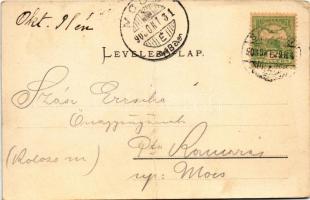 1899 Szekszárd, Garay tér, Szegzárd szálloda, üzletek. Árva J. kiadása (fa)