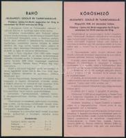 1940 A Budapest üdülő és turistaszálló rahói és kőrösmezői létesítményeinek ismertetése két külön lapon, szép állapotban