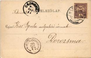 1901 Szentes, látkép, vármegyeháza, templom. Untermüller Ernő kiadása (EK)