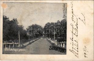 1899 Szentes, Széchenyi park. Stark Nándor kiadása (fl)