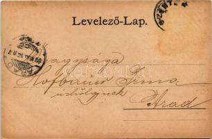 1899 Szentes, Széchenyi park. Stark Nándor kiadása (fl)