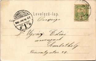 1905 Budapest XVIII. Pestszentlőrinc, Pusztaszentlőrinc, Szentlőrinc; Baán villa. Baán Mariska ottho...