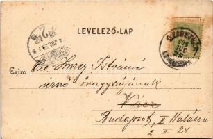 1904 Szigetvár, Állami polgári fiúiskola. Kozáry Ede kiadása (fl)