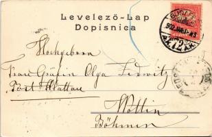 1902 Sztrazsemlye, Sztrázseman, Strazeman; Dvorac, Park / Jankovich-Buratti-Vranczány kastély és par...