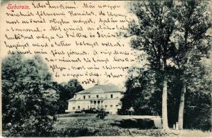 1900 Soborsin, Szoborsin, Savarsin; Gróf Hunyadi kastély / castle (lyukak / holes)