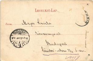 1900 Soborsin, Szoborsin, Savarsin; Gróf Hunyadi kastély / castle (lyukak / holes)