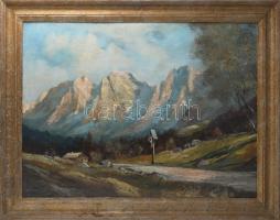 Hahn jelzéssel: Alpesi táj. Olaj, vászon, jelzett, keretben 60x80 cm