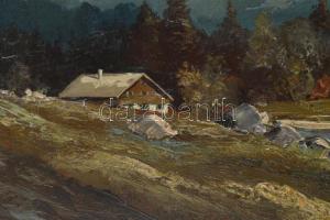 Hahn jelzéssel: Alpesi táj. Olaj, vászon, jelzett, keretben 60x80 cm