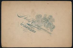 cca 1900 Hölgy portréja, kabinetfotó Herbst Emil óbecsei (Stari Bečej) műterméből, 16,5x10,5 cm (Rit...