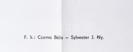 ca 1980 A Vérvonal c. film grafikus plakátja. Jelzett 60x80 cm Hatjva