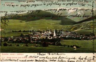 1906 Svedlér, Schwedler, Svedlár (Szepes, Zips); látkép, Evangélikus templom. Szlovik Jenő kiadása / general view with Lutheran church (szakadás / tear)