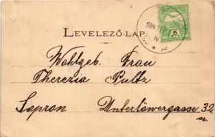 1909 Szarvkő, Hornstein; St.-Stefan Milleniums-Monument, Kirche, Graben, Kurial / Szent István Mille...