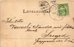 1908 Szarvkő, Hornstein; Pfarrhaus, Handlung Márold, Gasthaus Bauer, Schlossberg u. Friedhof / Plébá...