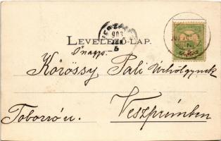 1903 Szádelői völgy, Zádielské údolie; Divald Adolf 93. (vágott / cut)