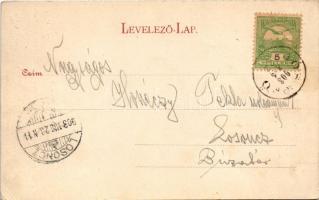 1903 Szádelői völgy, Zádielské údolie; Torony a Szádellői-völgyben. Breitner Mór kiadása / Turm im T...