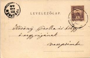 1901 Szántó, Santovka; Szántói savanyúvíz forrás, park. Divald Károly kiadása / mineral water spring...