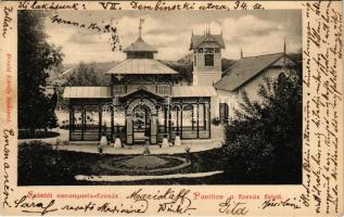 1901 Szántó, Santovka; Szántói savanyúvíz forrás, pavilon a forrás felett. Divald Károly kiadása / mineral water spring, pavilion (EK)